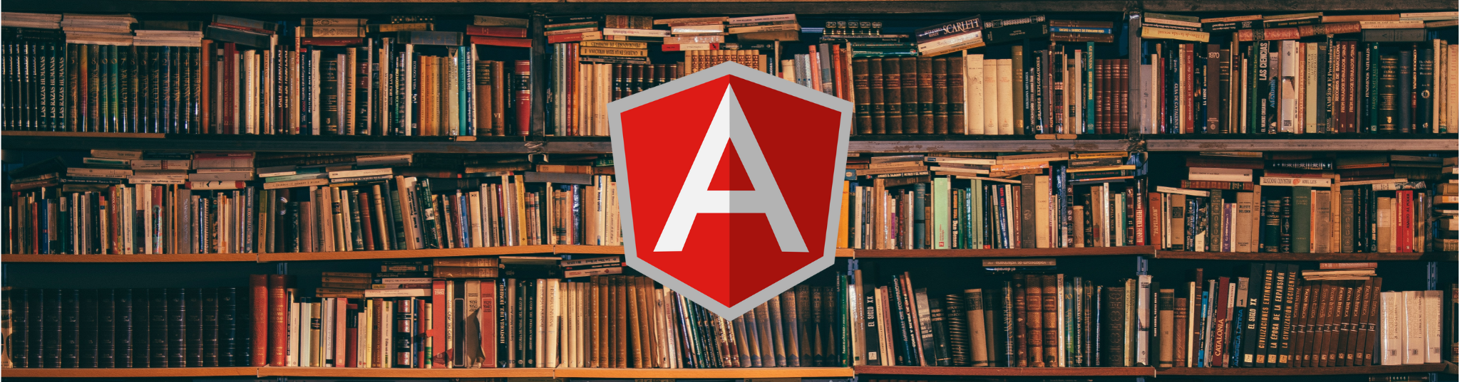 Cover Image for  Angular custom elements - introduction  